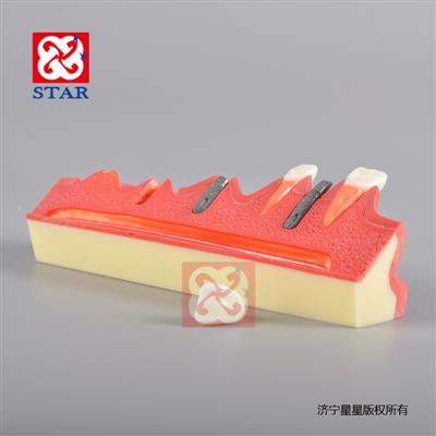 種植步驟演示M2018