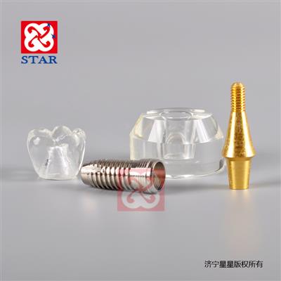 水晶模型3*1M2020