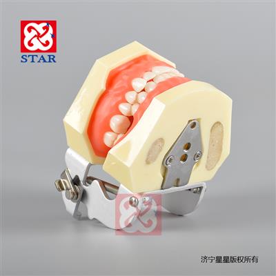 下口3區4區缺失種植練習