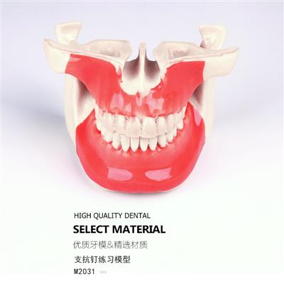 支抗釘種植練習親手和種植機都可操作