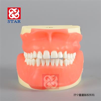 膿腫切開根尖切除骨突修復牙齒拔除縫合