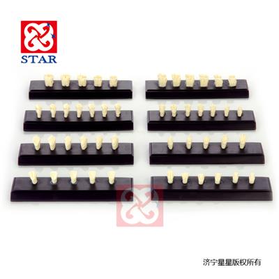 牙冠牙體重點練習備制1/3/5/6