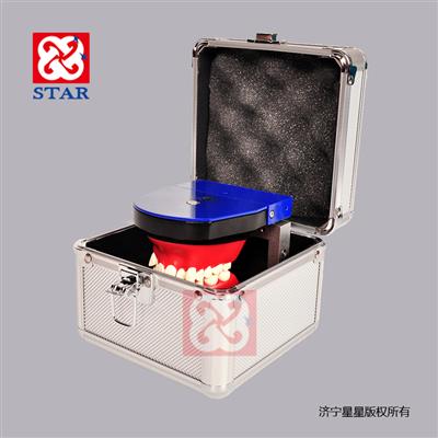 正畸練習模型M8017