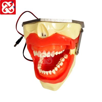 麻醉練習模型M8020進針位置正確信號提示