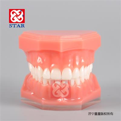 標準模型M7003平板斜板兩款