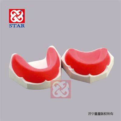 無牙頜蠟堤M8023